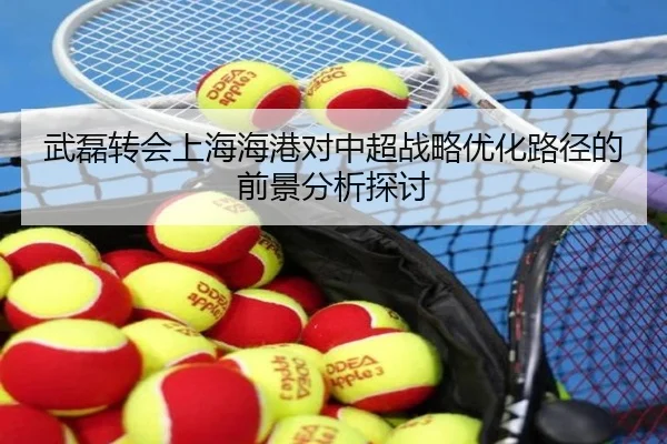 武磊转会上海海港对中超战略优化路径的前景分析探讨